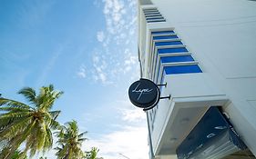 The White Harp Beach Hotel